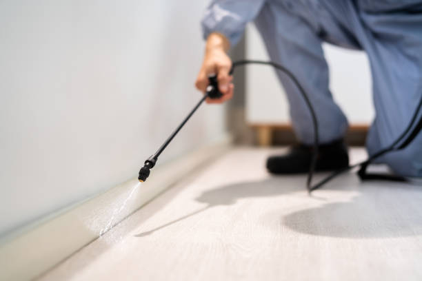 Licensed Pest Control service in Woodland Beach, MI - Show Me Pest Control