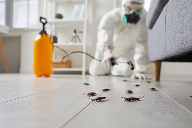 Commercial Kitchen Cockroach Control in Woodland Beach